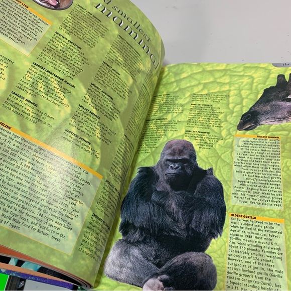 Guinness World Records 2Hardbound books- the Guiness book of Records 1999 & 2002 - Picture 2 of 12